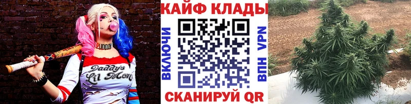 Виды наркоты Узловая Cocaine A PVP Каннабис мега как зайти Меф мяу мяу