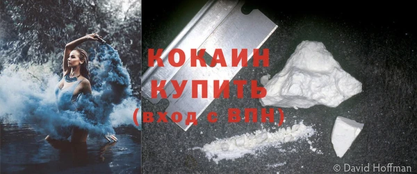 молекула духа Сосновка