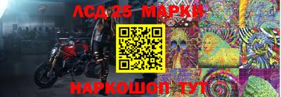 ALPHA PVP Кандалакша