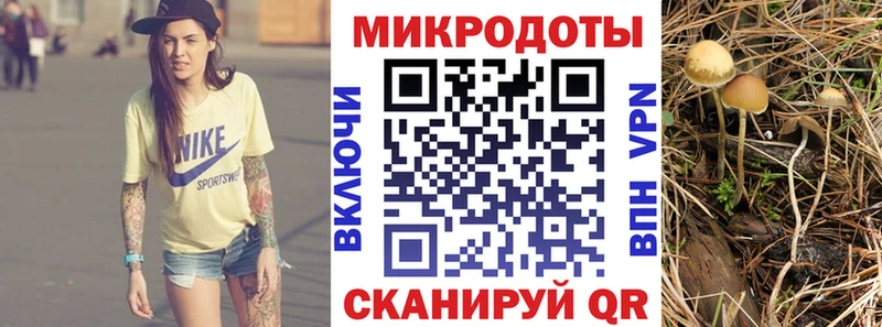 Галлюциногенные грибы мицелий  hydra ТОР  Узловая 