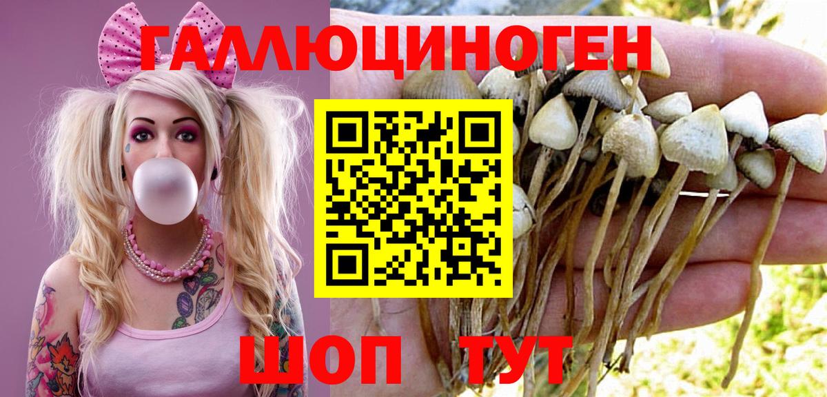 Узловая  Галлюциногенные грибы Psilocybine cubensis  Вход с VPN  Псилоцибиновые грибы Magic Shrooms 