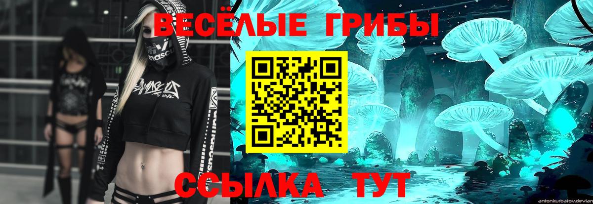 Псилоцибиновые грибы GOLDEN TEACHER Узловая
